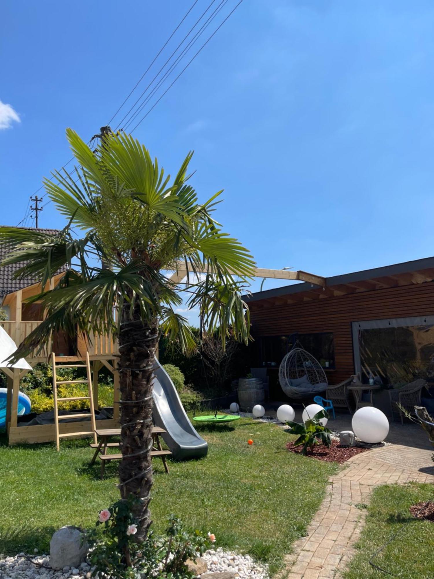 Haus Cornelia II Daire Simmerath Dış mekan fotoğraf